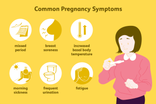 When Do Pregnancy Symptoms Start? The Real Timeline