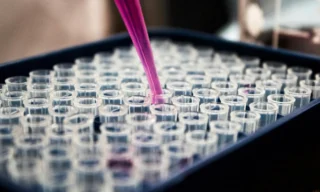 How to Assess an Amino Club Alternative for Research